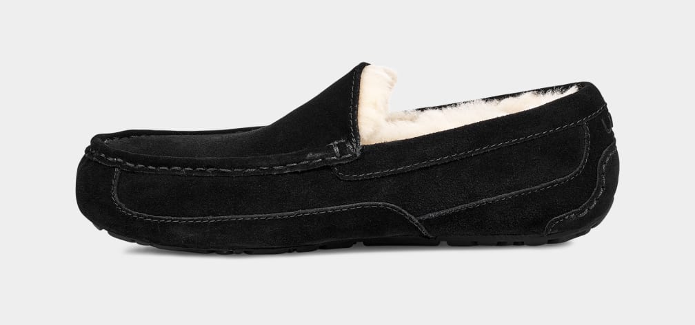 UGG M Ascot Black