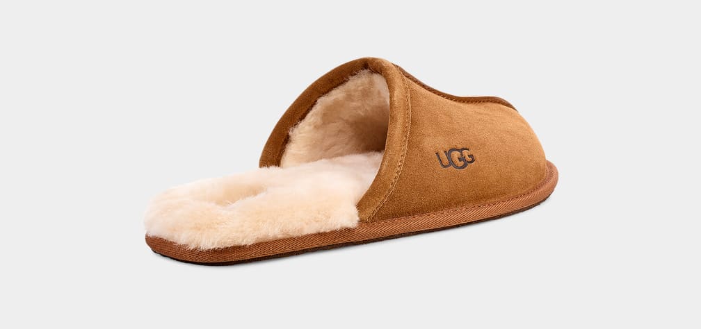 UGG Mens Scuff Slipper - Chestnut
