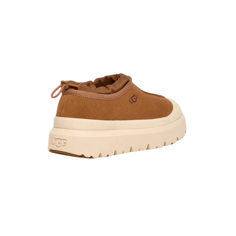 UGG Tasman Weather Hybrid - Chestnut/Whitecap