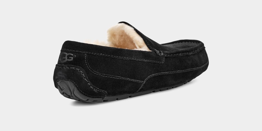 UGG M Ascot Black