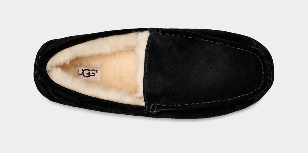 UGG M Ascot Black